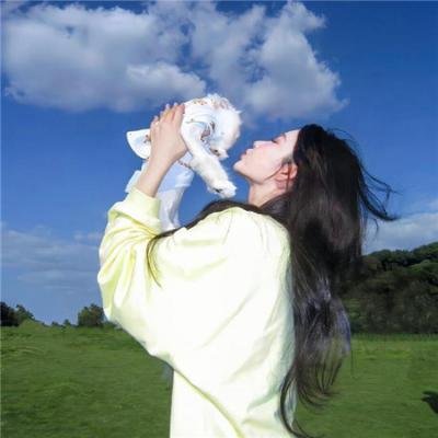 风葵的夏日物语